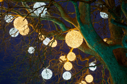 1532281 (a): :2560x1707